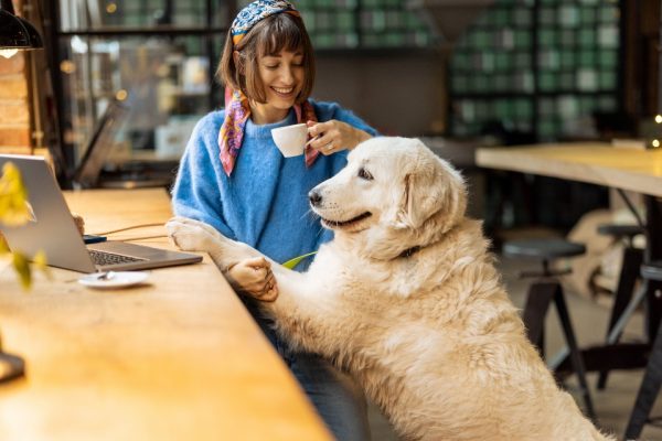 AdobeStock_572175692